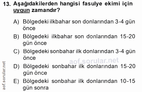 Soru 13