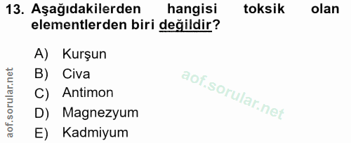 Soru 13