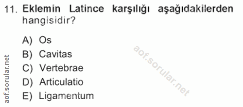 Soru 11