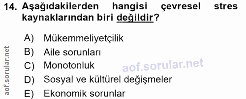Soru 14