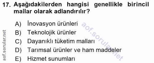 Soru 17
