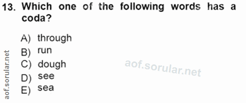 Soru 13