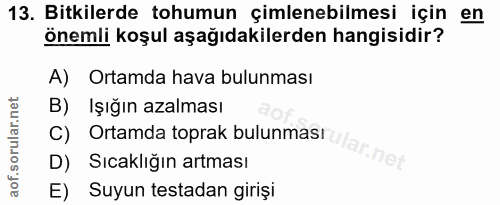 Soru 13