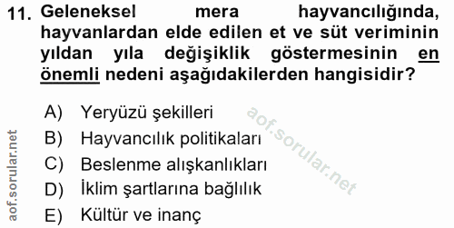Soru 11