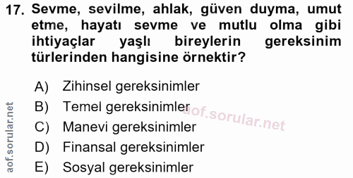 Soru 17