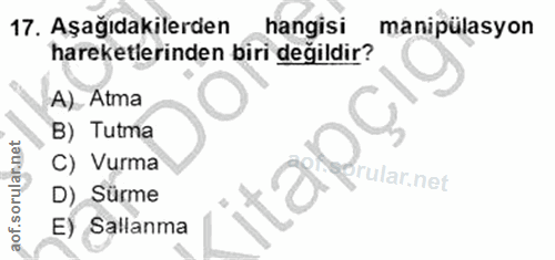 Soru 17