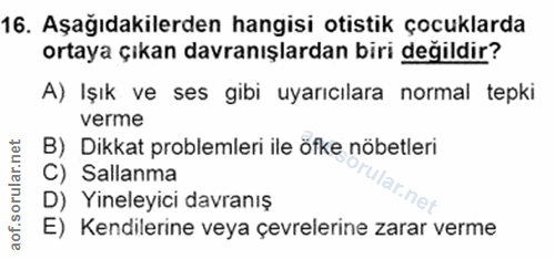 Soru 16