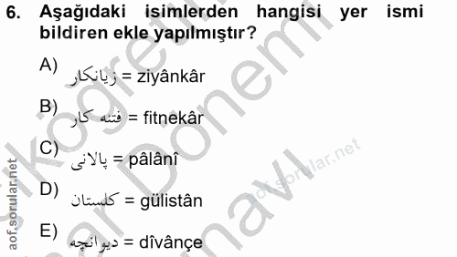Soru 6