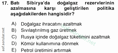 Soru 17