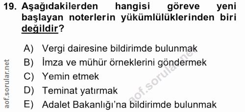 Soru 19