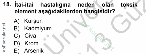 Soru 18