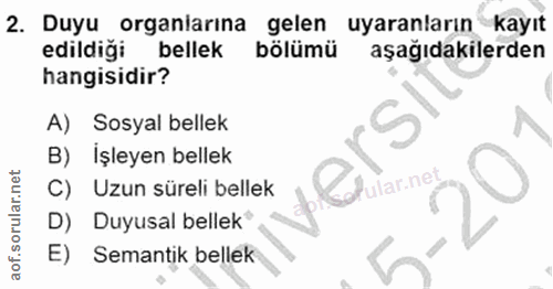 Soru 2