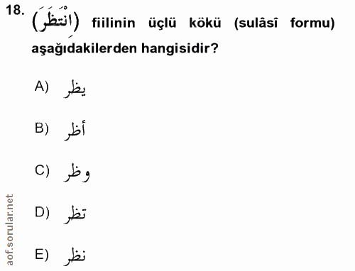 Soru 18