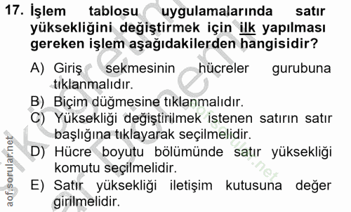 Soru 17