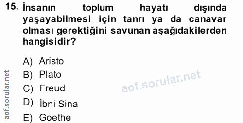 Soru 15