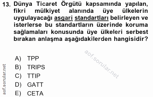 Soru 13