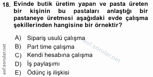 Soru 18