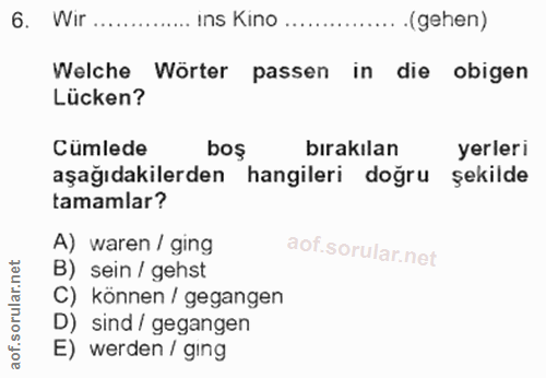 Soru 6