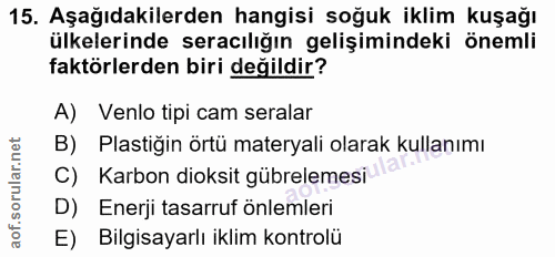 Soru 15