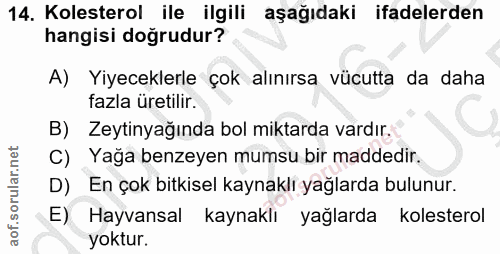 Soru 14