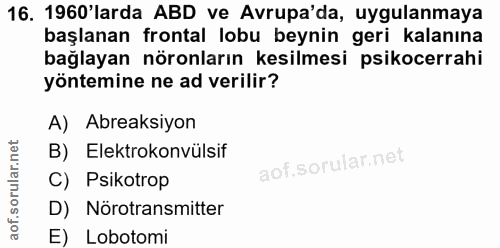 Soru 16