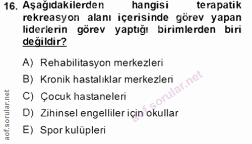 Soru 16