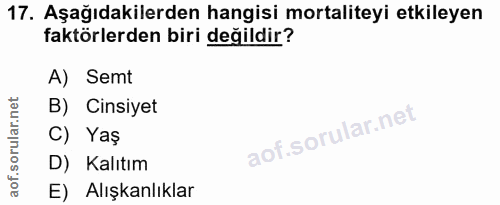Soru 17