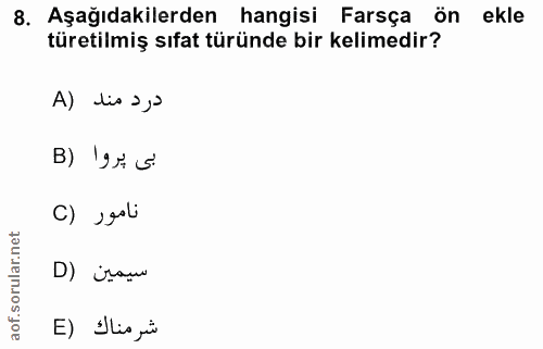 Soru 8