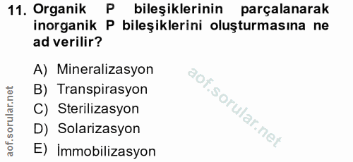 Soru 11