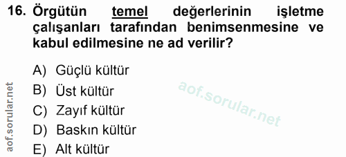 Soru 16