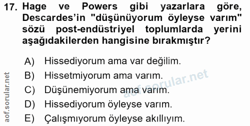 Soru 17
