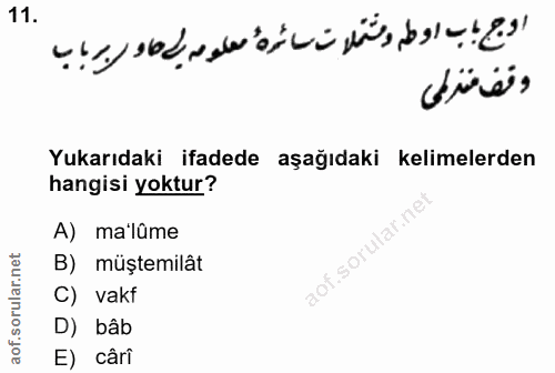 Soru 11