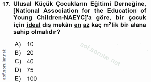 Soru 17