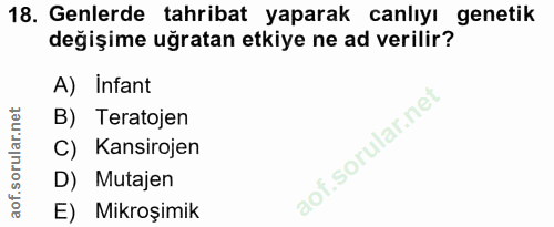 Soru 18