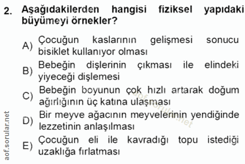 Soru 2
