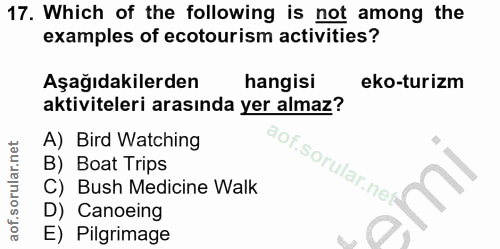 Soru 17