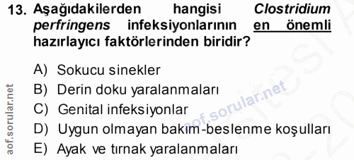 Soru 13