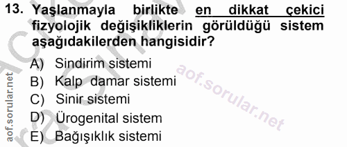 Soru 13