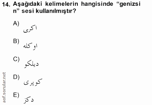 Soru 14