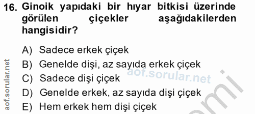 Soru 16