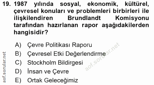 Soru 19