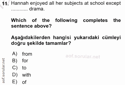 Soru 11