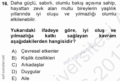 Soru 16