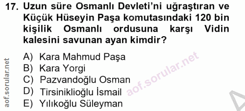 Soru 17