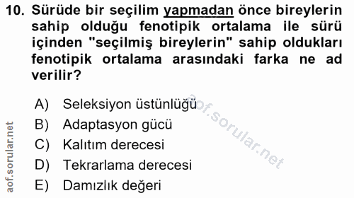 Soru 10