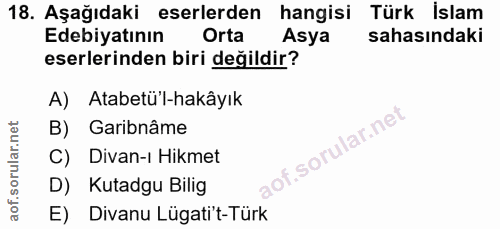 Soru 18