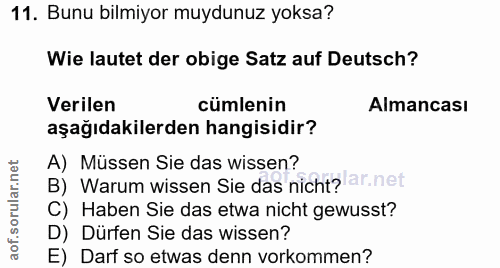 Soru 11