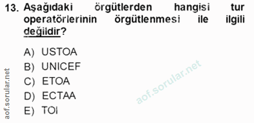 Soru 13