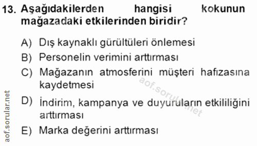 Soru 13