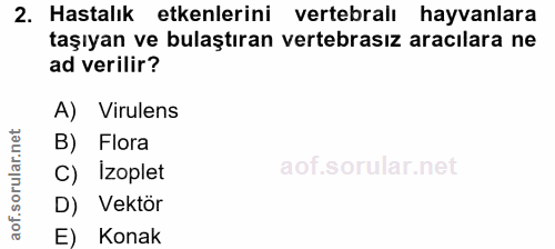 Soru 2